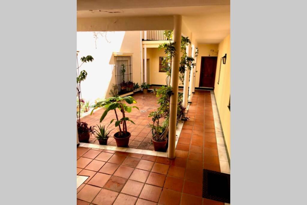 Gatu Villa Palma, Aire Acc Y Confort En El Centro Historico, " Preferente Mayores De 25 Anos Y Familias " إل بويرتو دي سانتا ماريا المظهر الخارجي الصورة